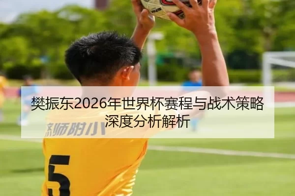 樊振东2026年世界杯赛程与战术策略深度分析解析
